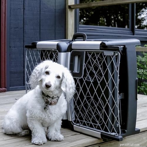 6 Key Reasons to Crate-Train Your Dog