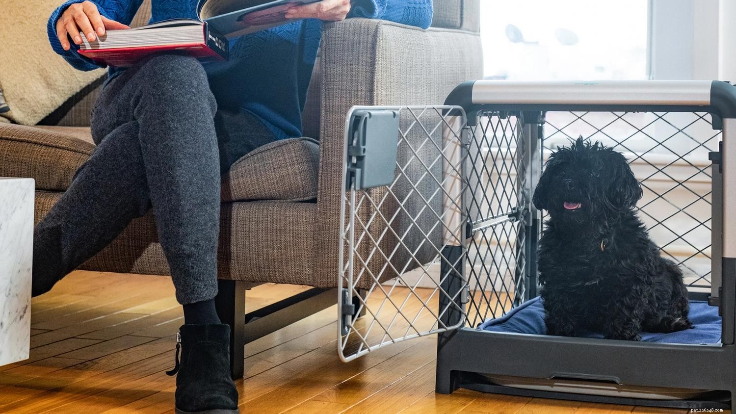 10 Proven Strategies for Safe and Comfortable Dog Crate Use