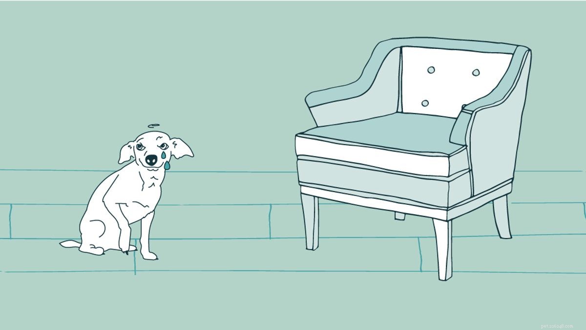 10 Proven Strategies for Safe and Comfortable Dog Crate Use