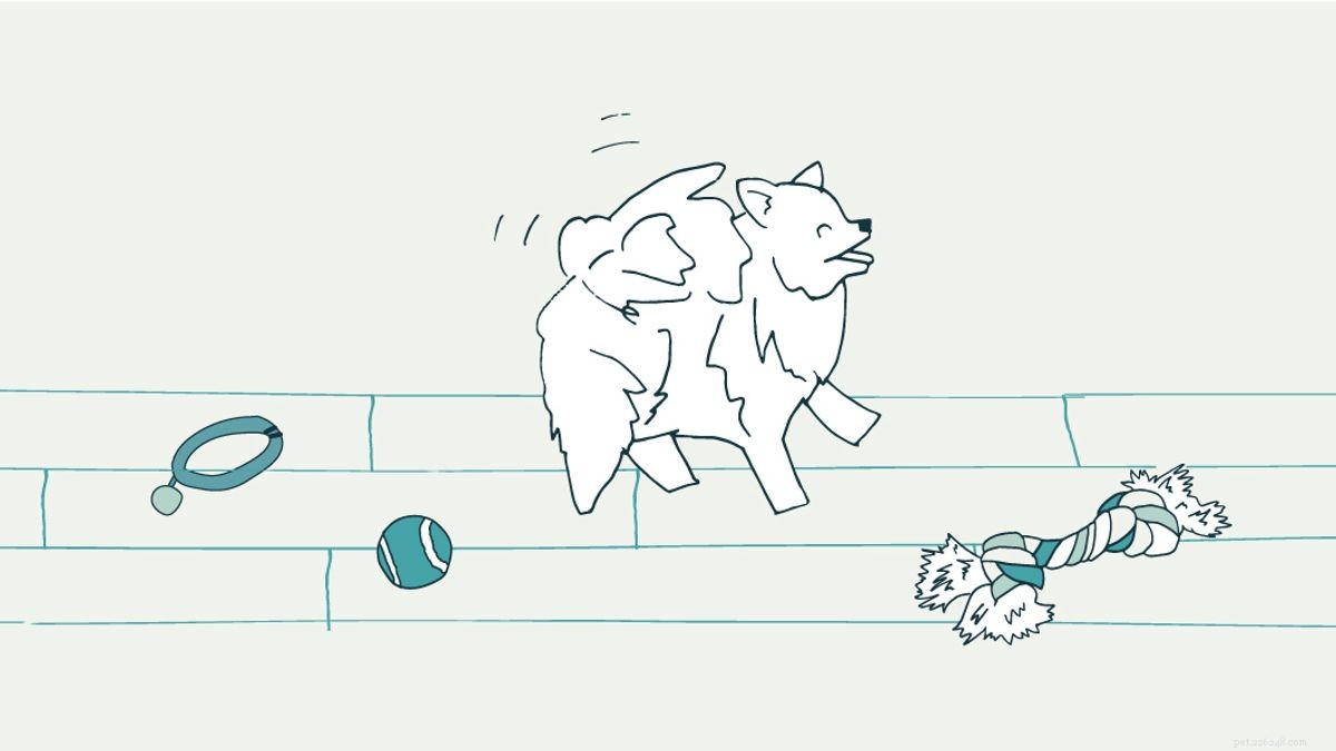 10 Proven Strategies for Safe and Comfortable Dog Crate Use