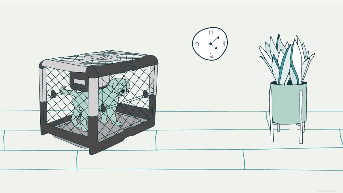10 Proven Strategies for Safe and Comfortable Dog Crate Use