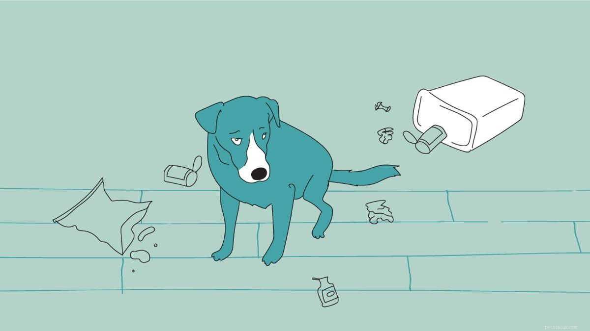 10 Proven Strategies for Safe and Comfortable Dog Crate Use