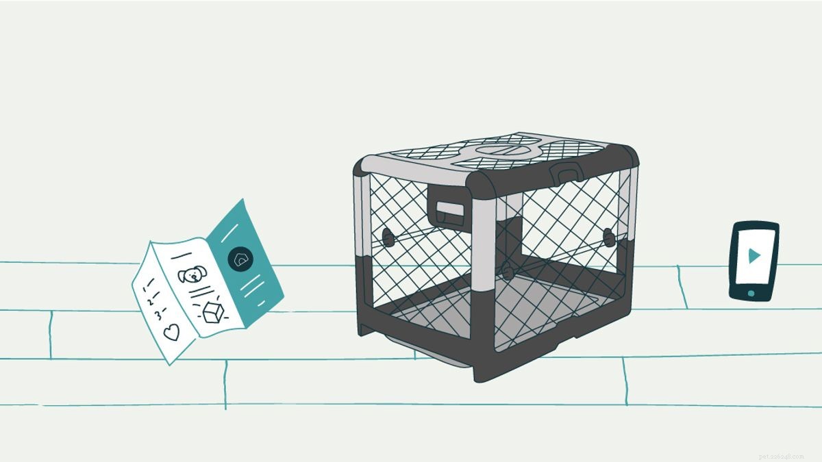 10 Proven Strategies for Safe and Comfortable Dog Crate Use