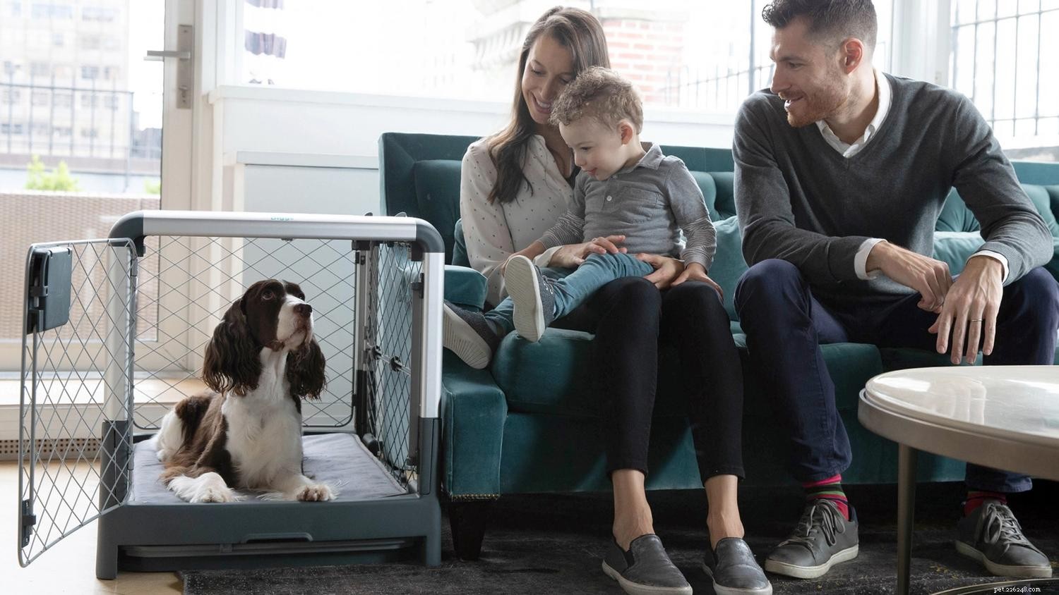 Your Complete Guide to Choosing, Using, and Maintaining a Dog Crate