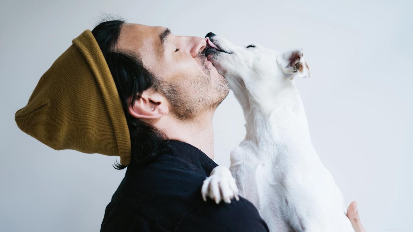 Your Complete Guide to Choosing, Using, and Maintaining a Dog Crate