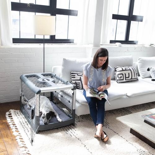 Your Complete Guide to Choosing, Using, and Maintaining a Dog Crate
