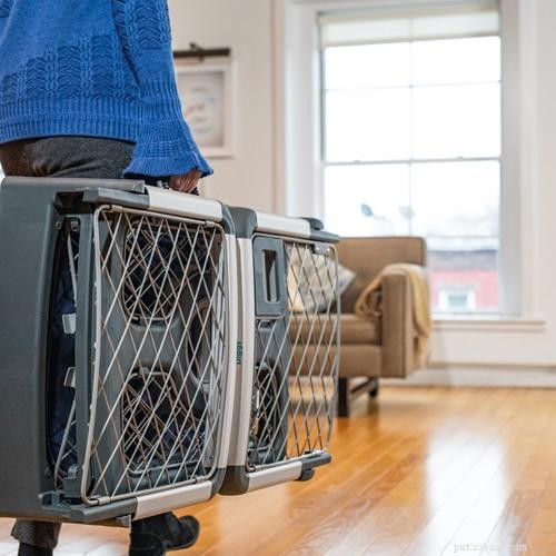Your Complete Guide to Choosing, Using, and Maintaining a Dog Crate