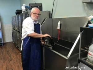 Effective DIY Skunk Odor Removal for Dogs – Safe, Quick Recipe
