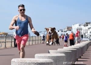 How to Jog and Walk Your Dog for Optimal Health and Bonding