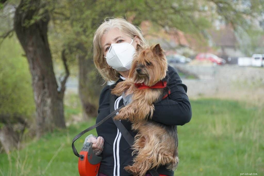 Dog Ownership Boosts Weekly Exercise by Over 6 Hours, New UK Study Shows