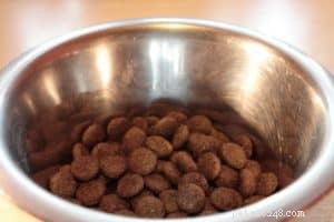 Choosing the Right Food for Your Dog’s Breed: A Clear Guide