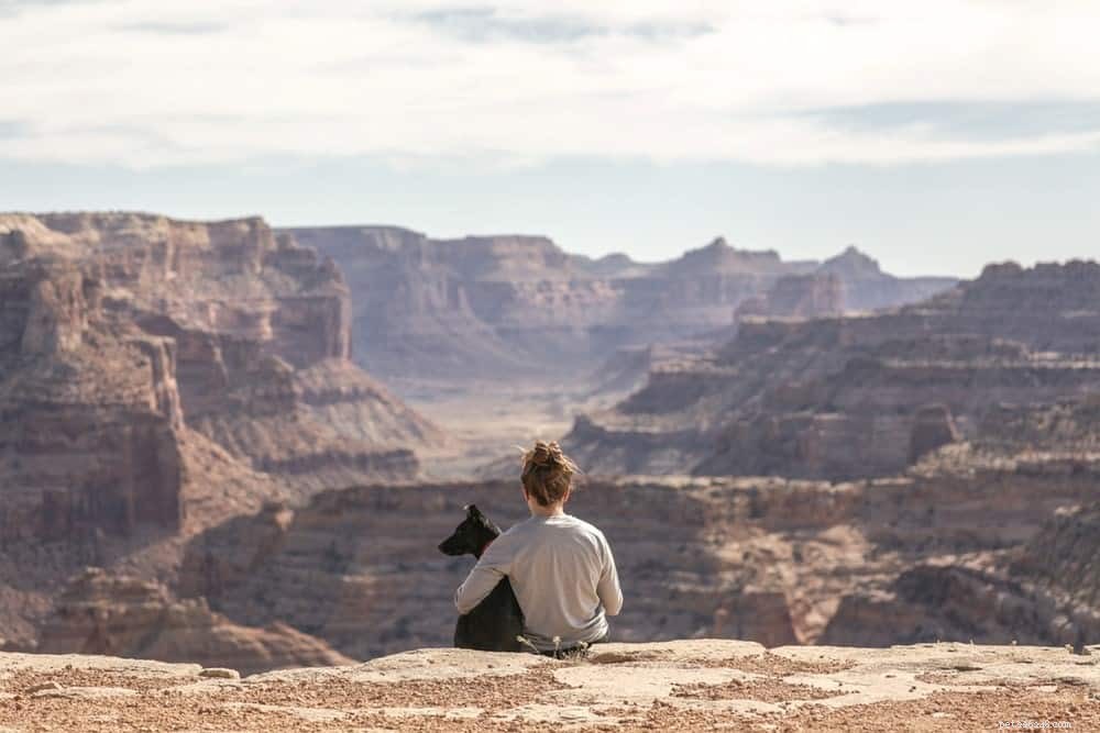 Top 10 Outdoor Adventures for You and Your Dog: Fun, Exercise, and Bonding