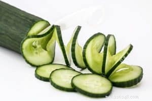 Top Vegetables Every Dog Should Eat for Optimal Health