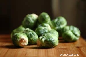 Top Vegetables Every Dog Should Eat for Optimal Health