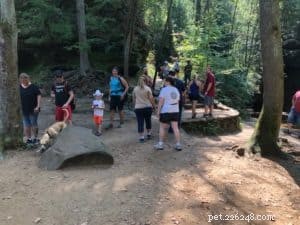 Dog-Friendly Hiking in Hocking Hills: Etiquette & Trail Tips