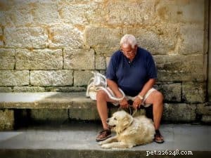 How to Ensure Your Dog Ages with Joy and Health