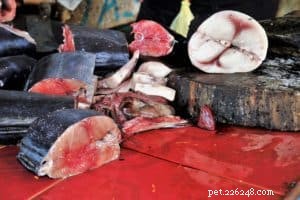 Raw Dog Food Diet: Benefits, Risks, and Expert Insights