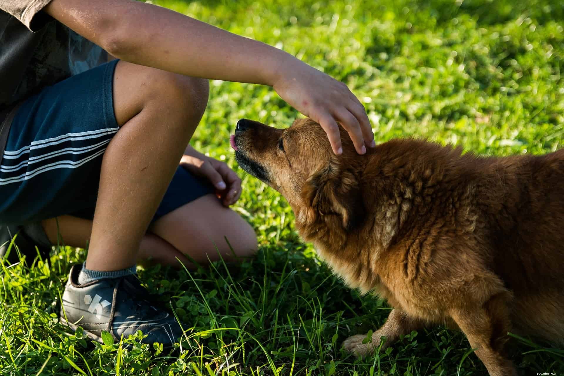 Helping Children Grieve: How to Talk About Your Dog’s Loss
