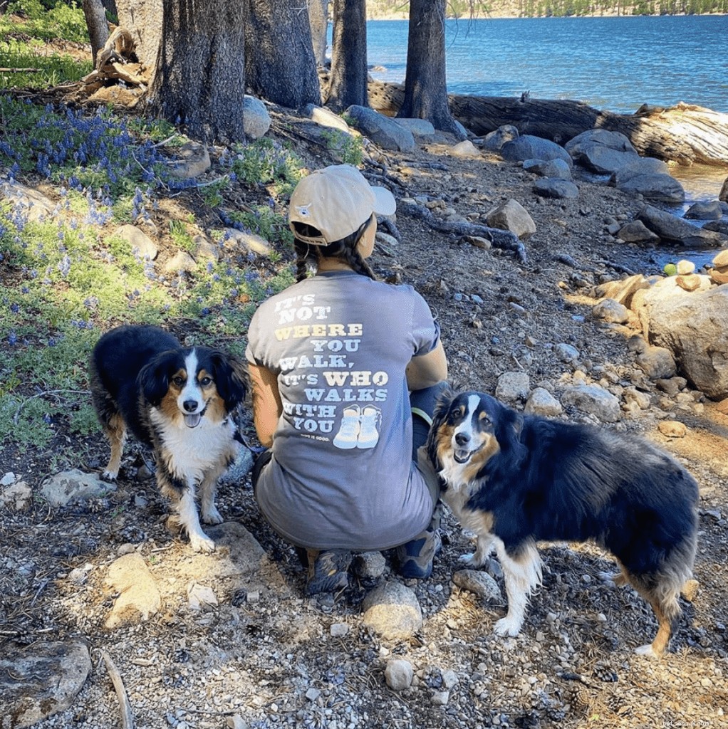 Keep Your Dog Safe This Summer: 5 Essential Warm Weather Tips
