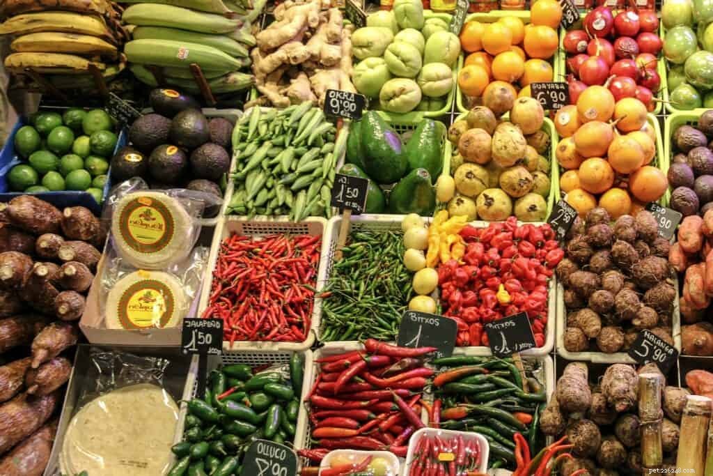 The Ultimate Guide to Superfoods for Dogs: Boost Health Naturally