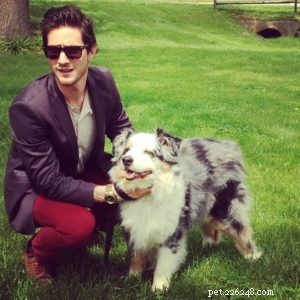 Master Australian Shepherd Grooming: Expert Brushing Tips