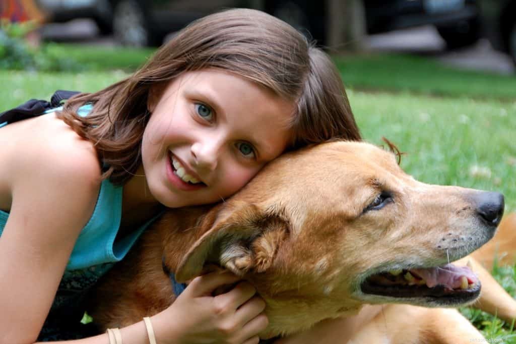Career Paths for Dog Enthusiasts: 8 Ideal Jobs