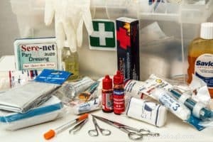 Dog First Aid Kit: Essential Guide to Be Prepared for Emergencies