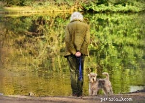 Essential Guide to Safely Hiking, Camping, and Backpacking with Your Dog