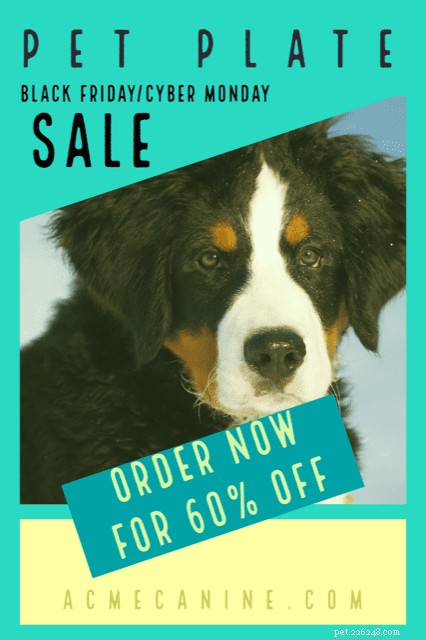 Pet Plate Black Friday & Cyber Monday: 60% Off Your First Meal Box