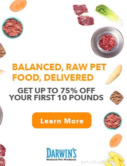Darwin’s Raw Dog Food Review: Premium Nutrition for Busy Pet Parents