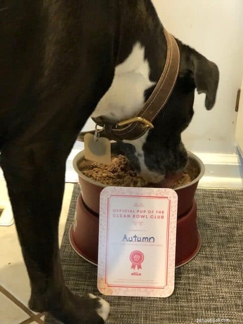 Ollie Raw Dog Food: Premium Nutrition for a Healthier, Happier Dog