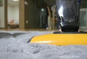 8 Proven Dog Shedding Hacks to Keep Your Home Fur‑Free