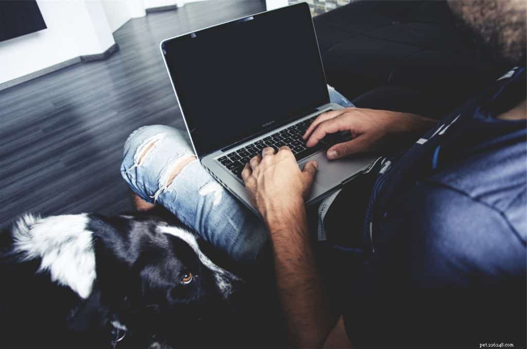 Discover the Benefits of an Online Pet Consultant for Your Pet s Health and Well‑Being
