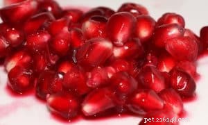 Can Dogs Safely Eat Pomegranate? Health Tips & Risks