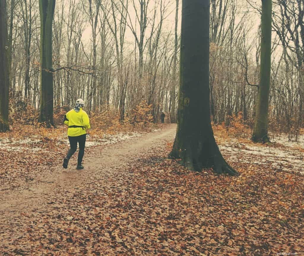 7 Pro Tips for Rainy Day Dog Walks: Keep Your Pup Happy & Safe