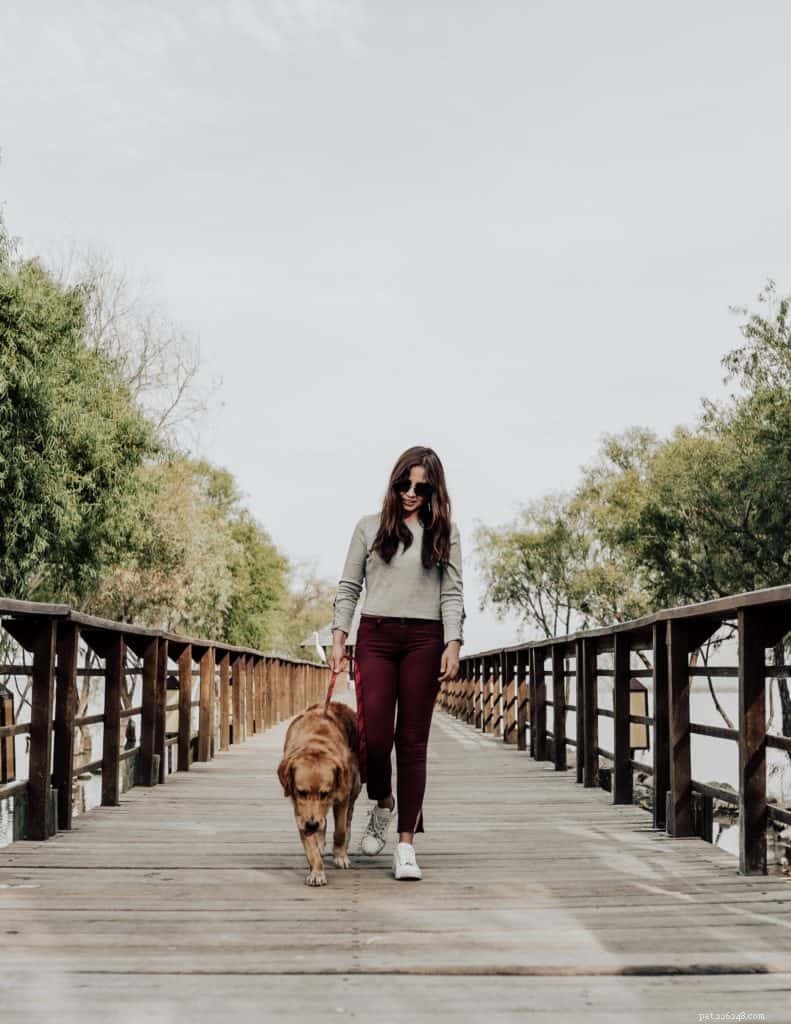 Safe & Enjoyable Dog Walks: Essential Tips for You and Your Pet