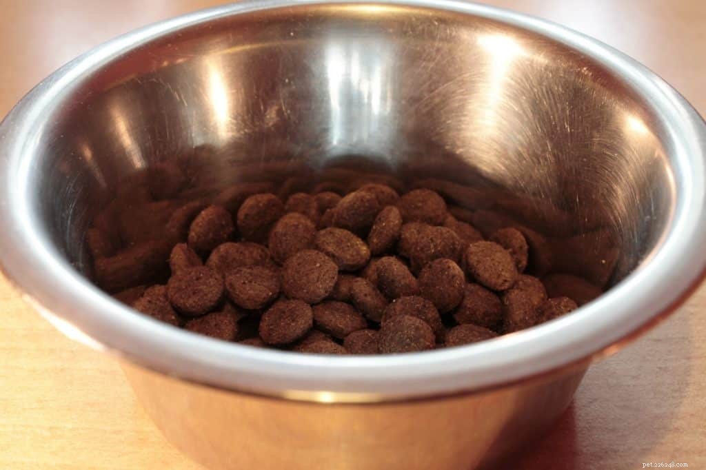 5 Surprising Insights About Your Dog Food’s Nutrition Label