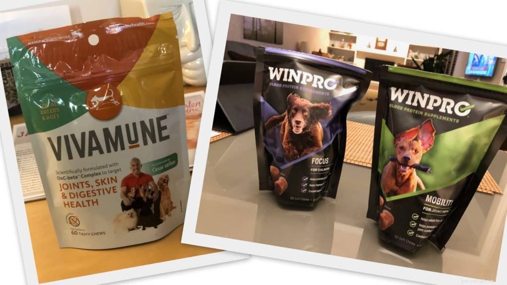 Dog Supplements Review: Vivamune vs. WINPRO – Boost Your Pet’s Health