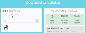 Top 5 Tips Every First-Time Dog Owner Should Know