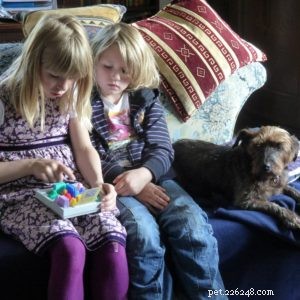 5 Essential Tips to Stress‑Free Move Your Pets Safely