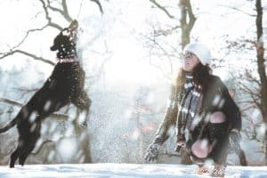 Preparing Your Dog for Winter: Expert Tips & Safety Guidelines