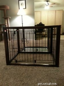 Choosing the Perfect Indoor Dog Kennel: A Comprehensive Guide