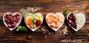 Can Your Dog Thrive on a Plant-Based Diet?