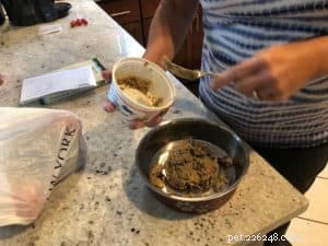 Raw Dog Food Diet: Expert Guide to Healthier, Happier Pets