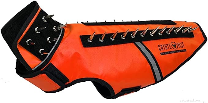 Do Coyote-Protective Vests Safeguard Your Dog?