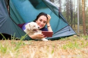Why Hiring a Professional Dog Walker Boosts Your Pet’s Health and Your Peace of Mind