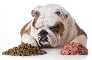 Safely Incorporating Dog Cookies into Your Pet s Daily Diet