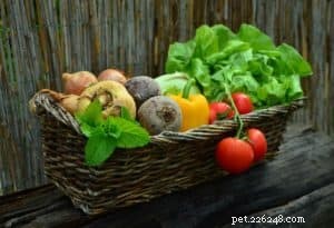 How to Determine if Your Dog is Overweight and Steps to Help