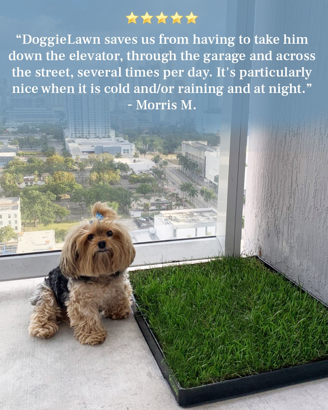DoggieLawn: Eco‑Friendly Hydroponic Grass for Indoor & Outdoor Dog Potty