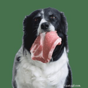 Cali Raw Dog Food: Premium Natural Nutrition for Your Canine Companion